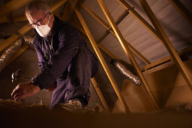 Best Spray Foam Insulation in Silver Lake, NJ